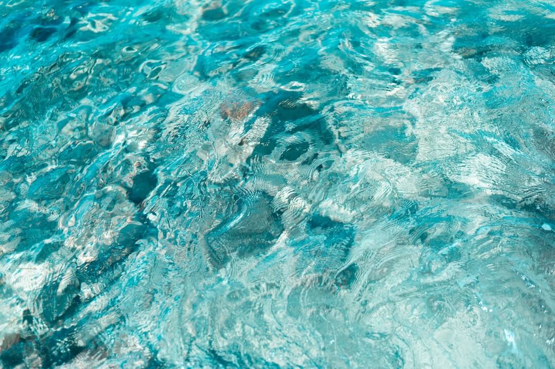Florida Climate and Pool Health: Why Timing Matters Image